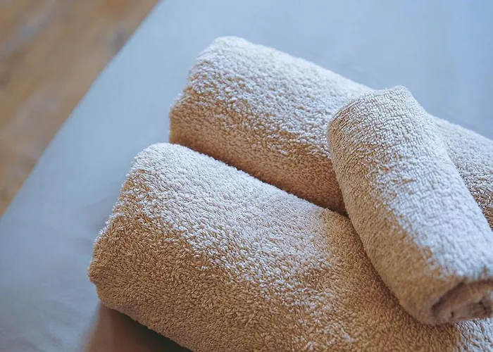 Apartamento Du Palais Jacuzzi Sauna - Centre - Free Parking